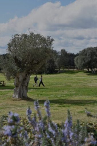 2-1-scaled-r7qbzz5d96n0uuvxdwfhrlhew7qf1qdu7jdxtxxdt4